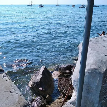 Trieste M&m