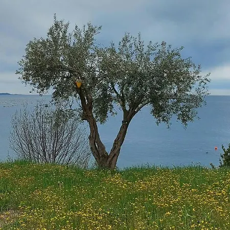 Apartment Trieste M&m *