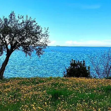 아파트 Trieste M&m *