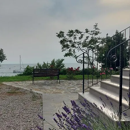 Trieste M&m * 무쟈