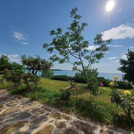 Trieste M&m 아파트 무쟈