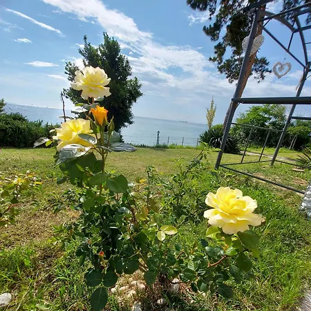 아파트 Trieste M&m *