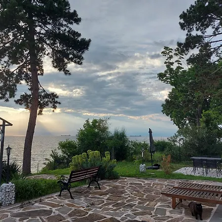 Trieste M&m Муджа