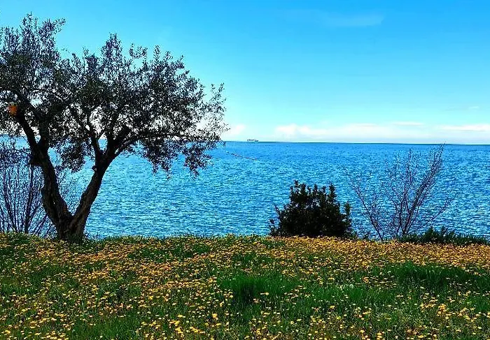 Апартаменты Trieste M&m *