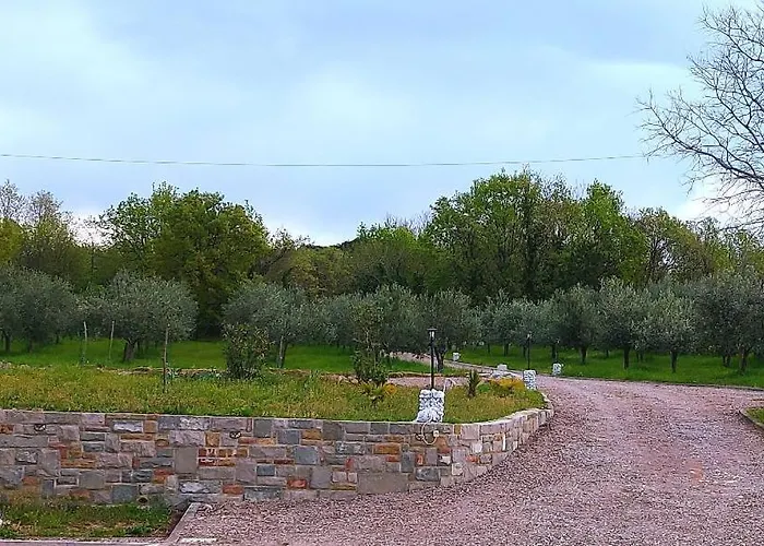 Trieste M&m Апартаменты *